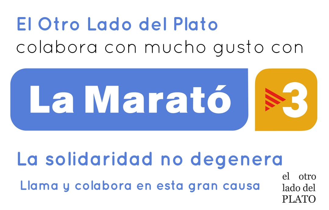 La Marató tv3 2013